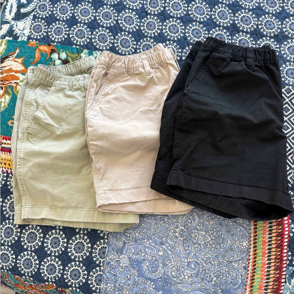 3 Pairs of Chubbies Classic Shorts
